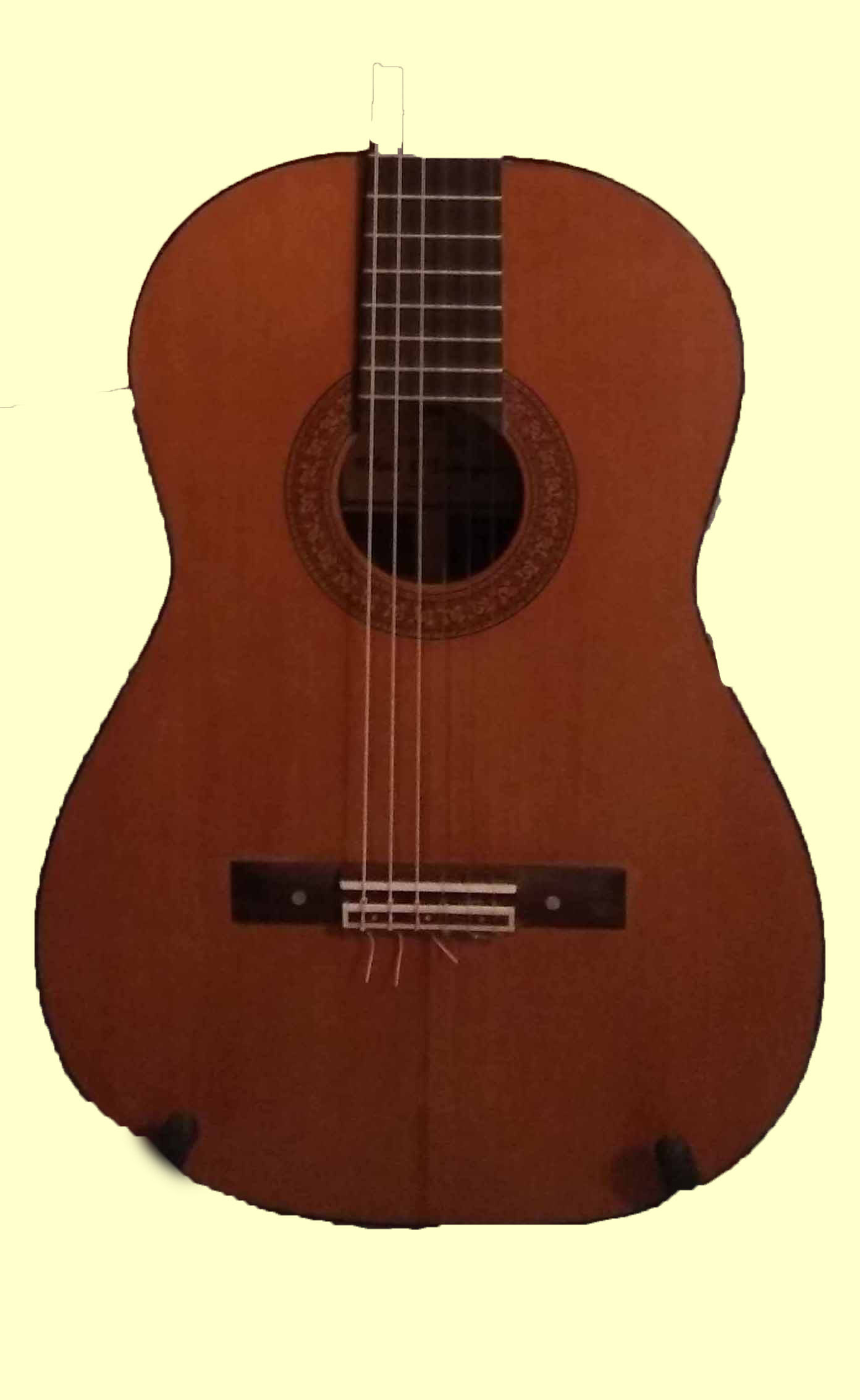 thompson13c top